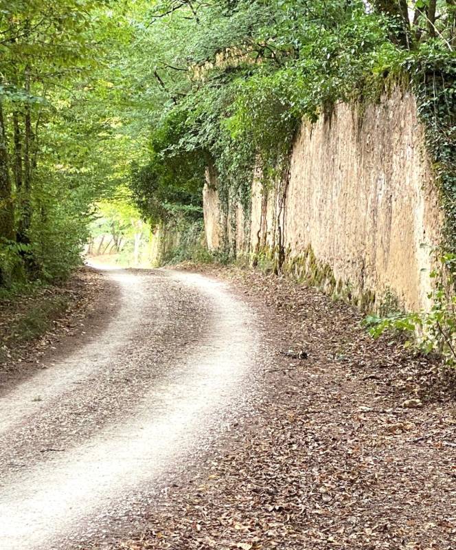 Randonnée : Boucle des Murailles
