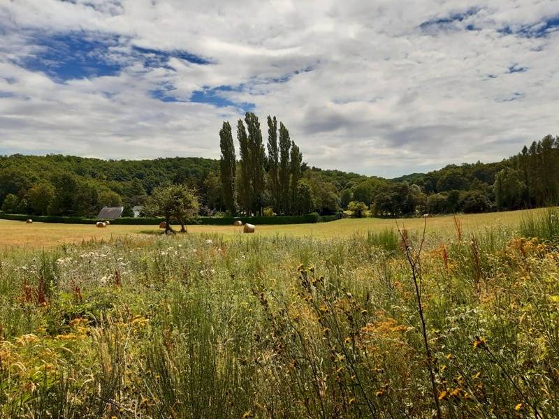 Randonnée : Entre vignes et Ramberge