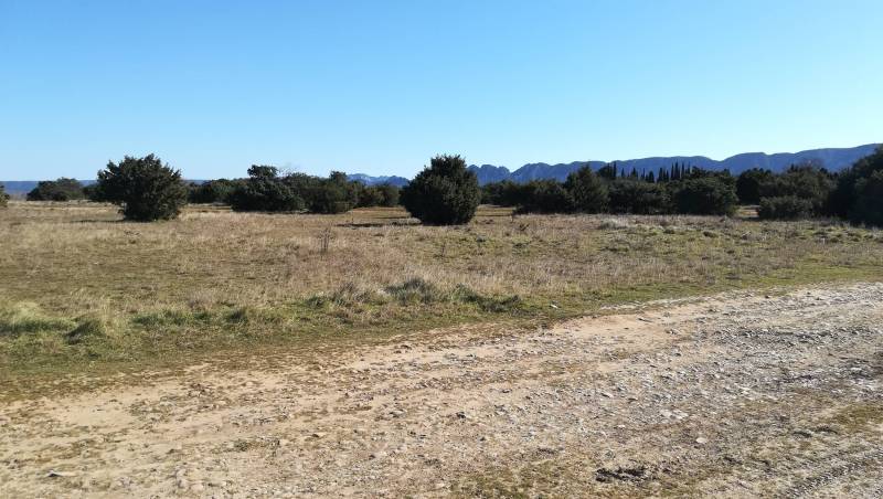 Randonnée : SAINT-RÉMY-DE-PROVENCE - À la rencontre des oiseaux de la Petite Crau