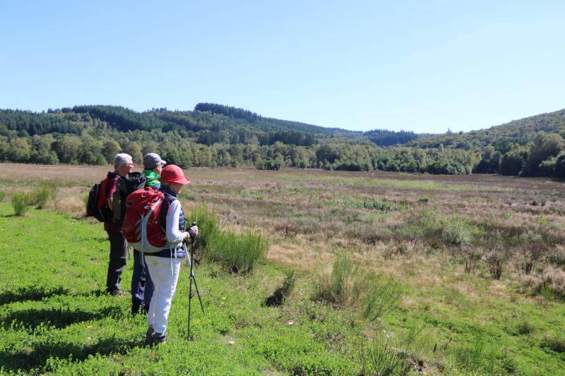 Randonnée : Circuit d’interprétation de la tourbière de Rebière Nègre - 4 km