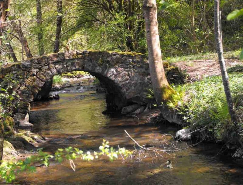Randonnée : Circuit Des Bords d'Auzette
