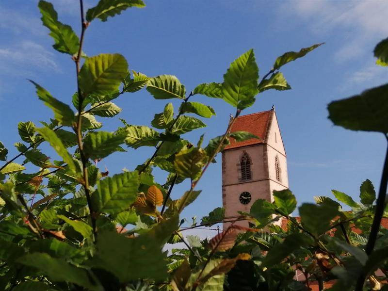 Randonnée : Wattwiller, promenade et histoire