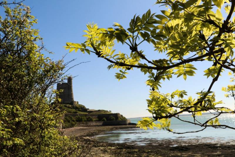 Randonnée : Le Vast < > Saint-Vaast-La-Hougue