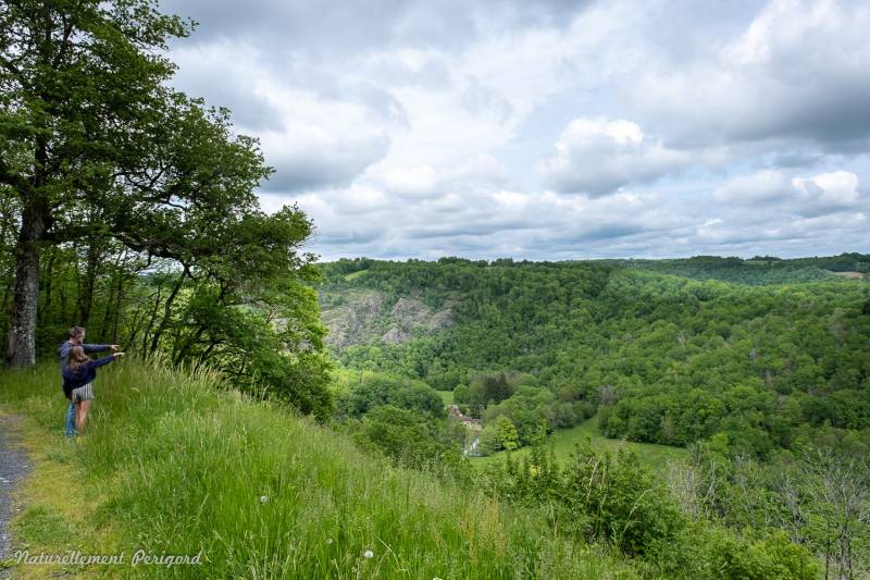 Randonnée : Circuit VTT Naturellement Périgord n°13 bleu