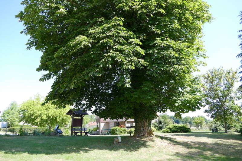 Randonnée : Circuit de randonnée Par Monts et par Vergnes