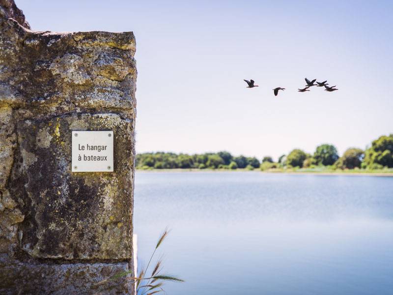 Randonnée : Randonnée de l'étang du Louroux
