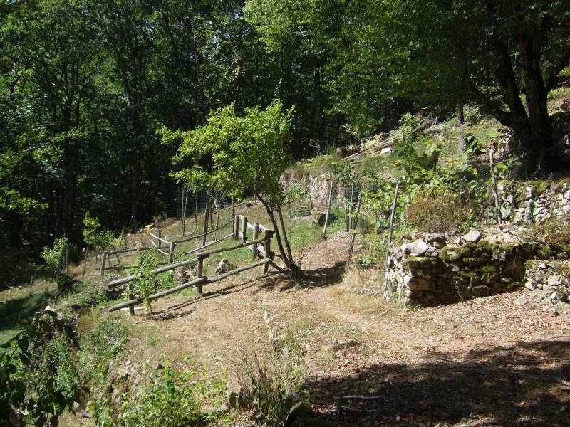 Randonnée : Le jardin de Bardot