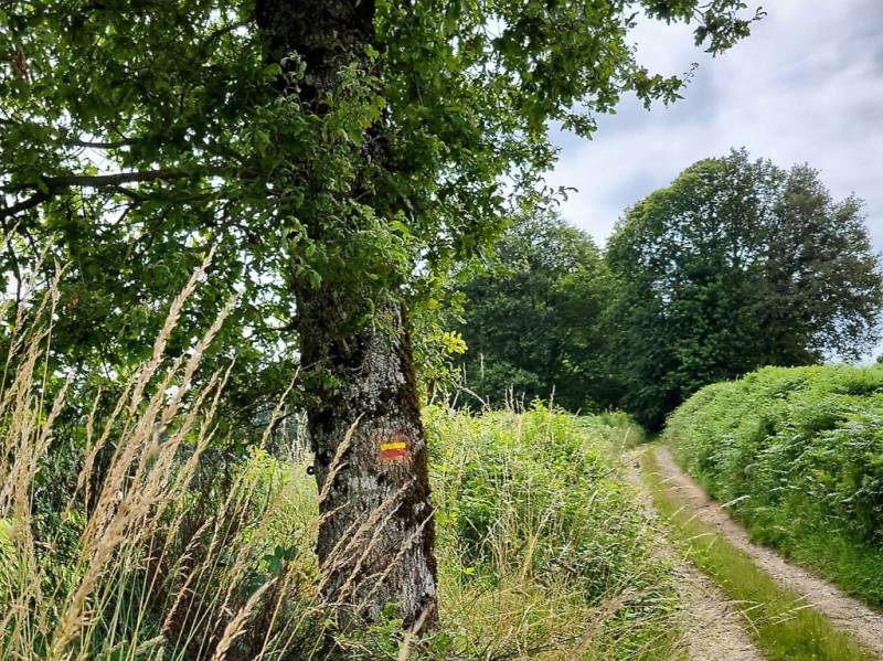 Randonnée : GRP®Monts et Barrages en Limousin - Boucle Entre Combade et Briance