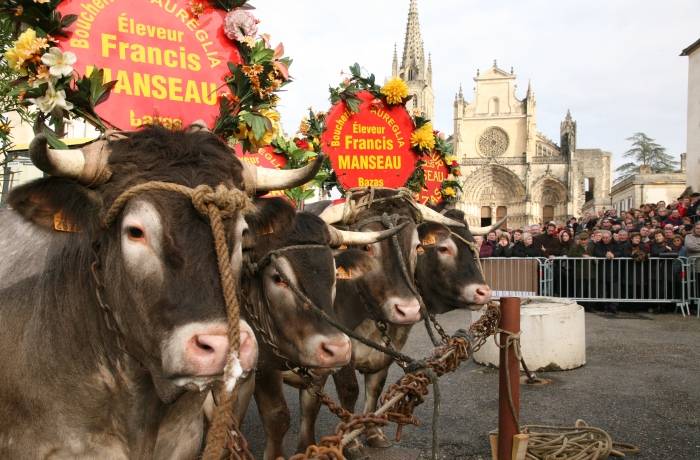 Randonnée : Bazas Médiévale