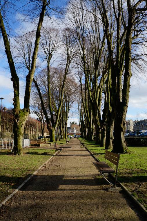 Randonnée : Promenade du CAUE "des arbres, d'un jardin à l'autre"