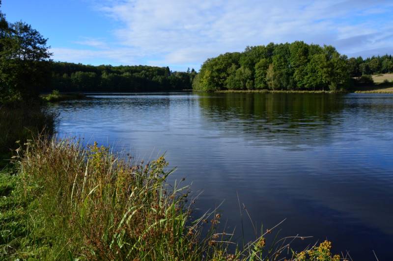 Randonnée : Circuit Pédestre N°11 L'étang du Moulin du Donzeil