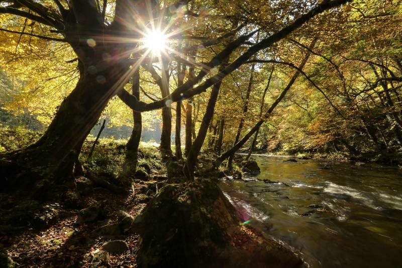Randonnée : Sur les traces des cerfs