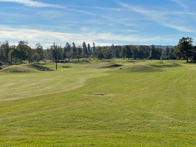 Randonnée : Chemin des grands champs