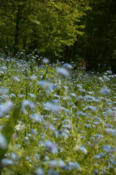 Randonnée : Randonnée : le vallon de Brommat