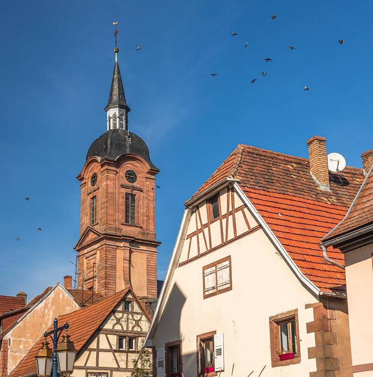 Randonnée : Promenade historique de Reichshoffen