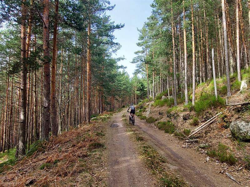 Randonnée : Circuit VTT du Frankenbourg et des roches