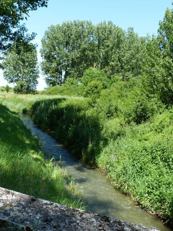 Randonnée : La Fontaine Bouillante