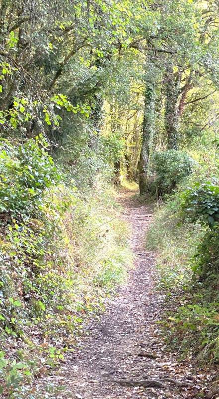 Randonnée : Boucle de Paussac Saint-Vivien - Le Boulou
