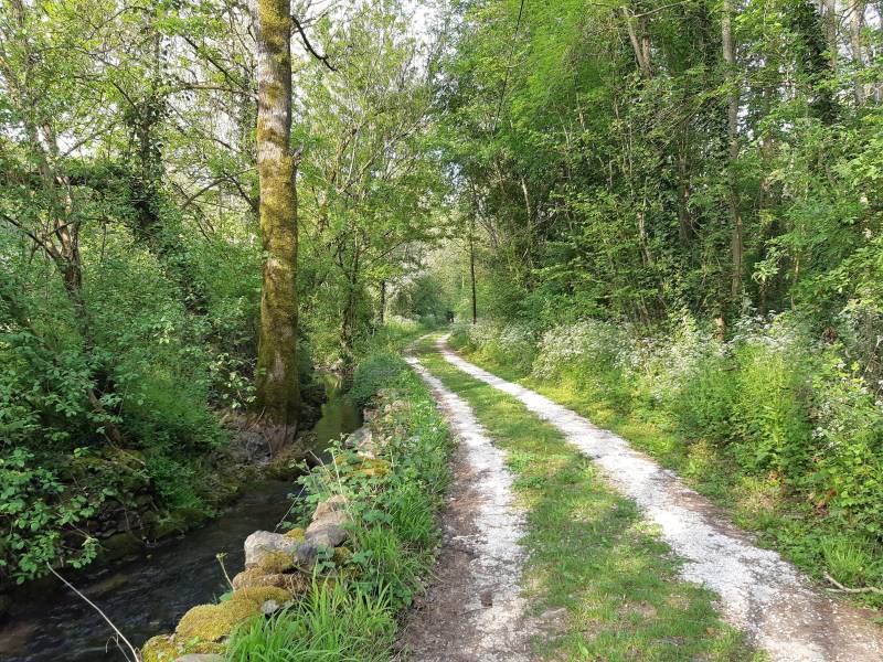 Randonnée : Du plateau à la vallée, de plein en délié - Montaillon