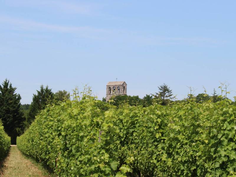Randonnée : Boucle de Campna - Conne de Labarde