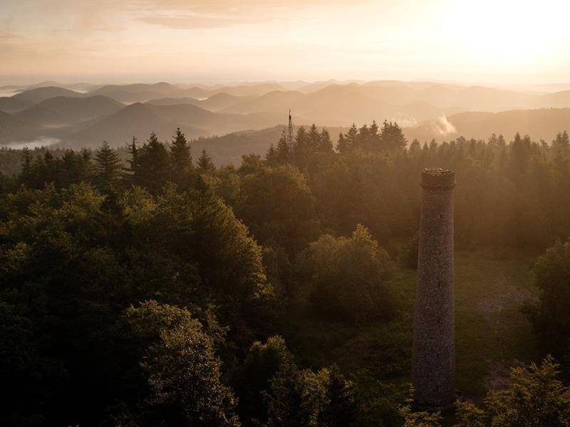 Randonnée : Randonnée du GR53 étape 2 de Obersteinbach à Niederbronn-les-Bains
