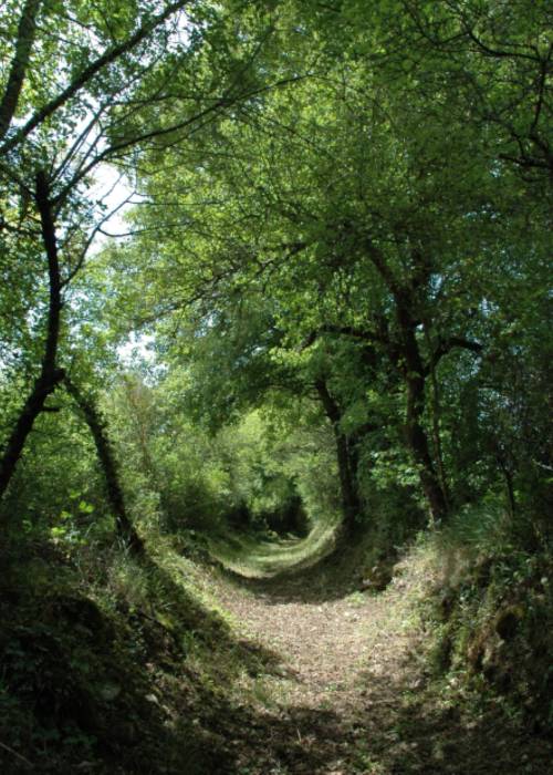 Randonnée : La Coquille en Ecomobilité - Un bol de Périgord -Limousin à l'Etang de la Barde
