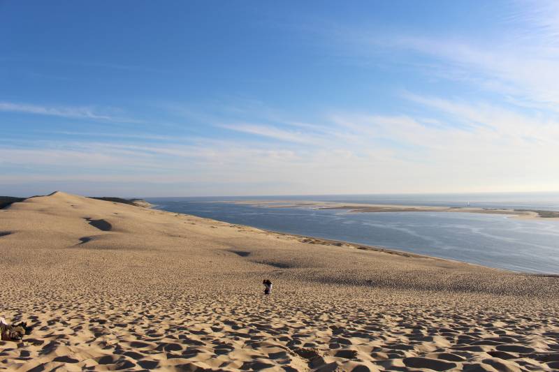 Randonnée : Les Pistes de Robin : les secrets de la Dune du Pilat