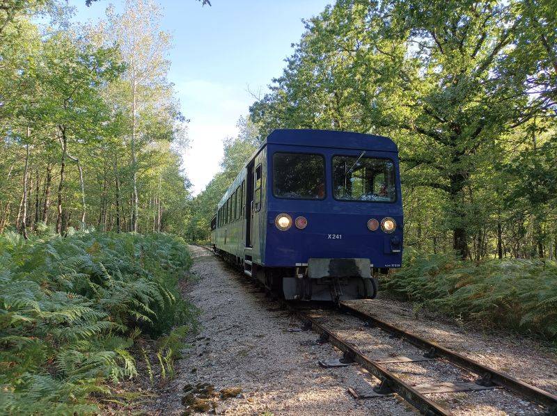 Randonnée : GR de Pays de Valençay - Boucle "Bois et bocage en Pays d'Écueillé"