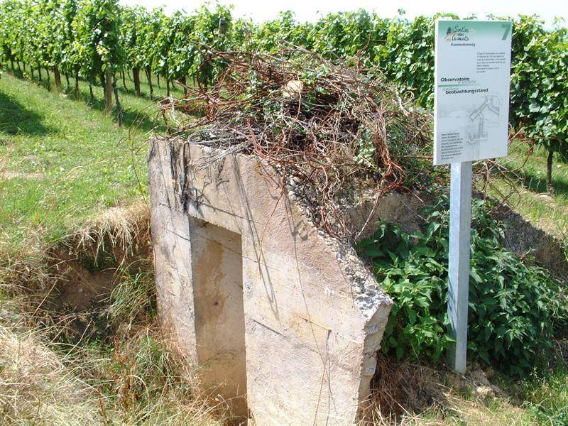 Randonnée : Randonnée Sentier des Casemates