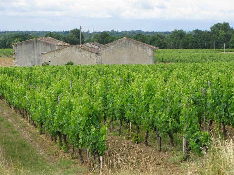 Randonnée : Boucle des Trias