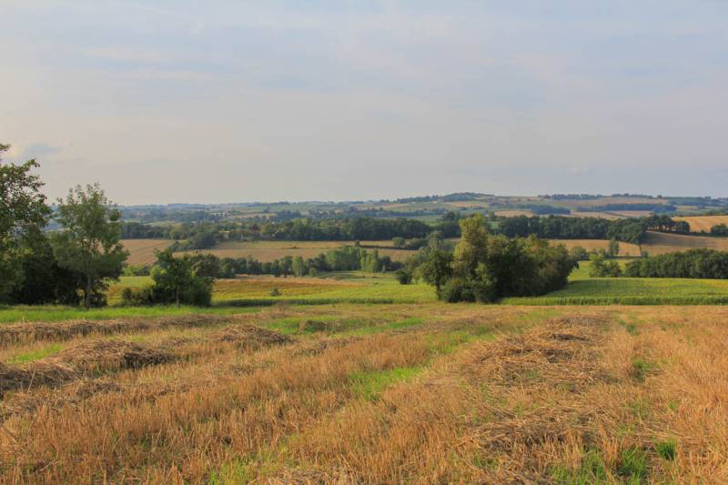 Randonnée : Circuit des coteaux de Gascogne