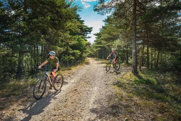 Randonnée : Circuit VTT De La Baraque Froide à La Blaquèrerie