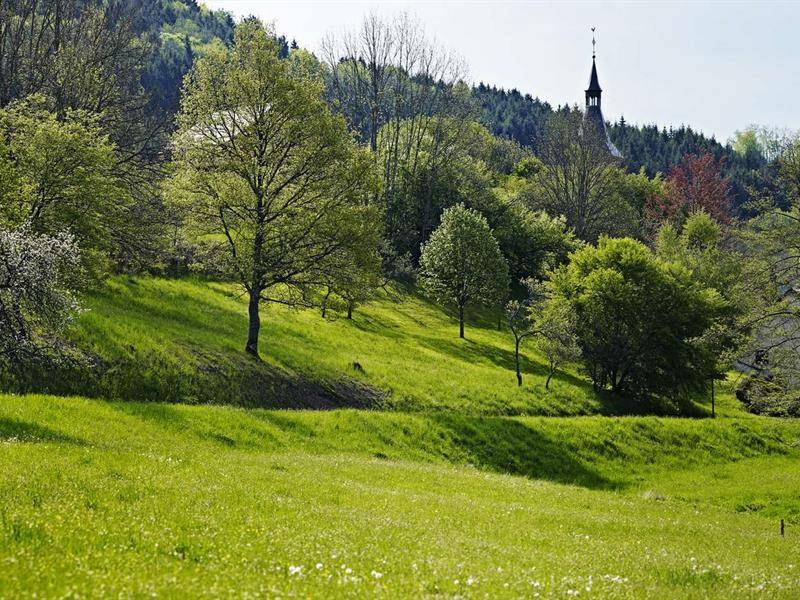 Randonnée : Circuit rando H10 : Les hauts de Ranrupt