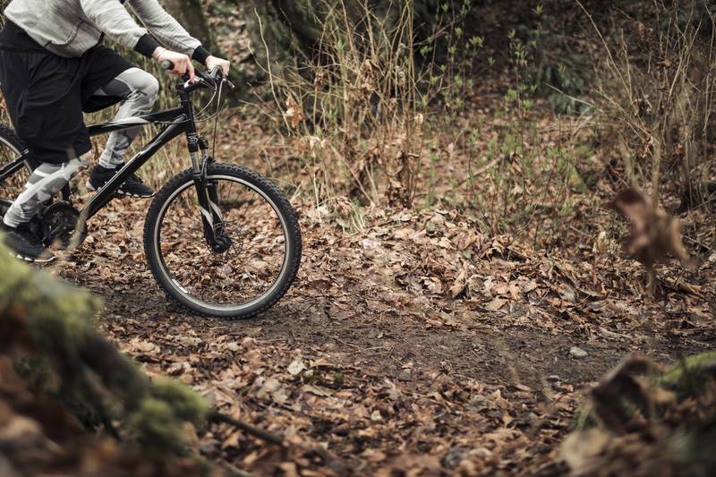 Randonnée : Circuit forêt des landes girondines - Gravel
