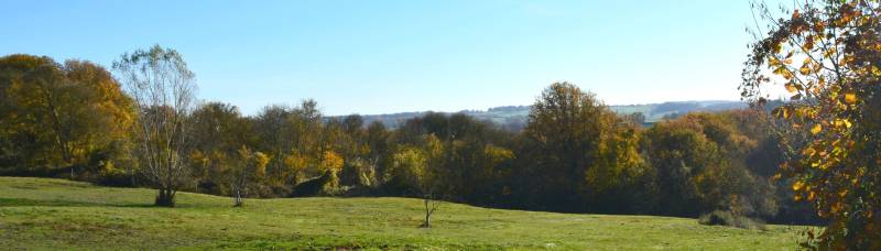Randonnée : La Nauraie - Circuit n°41