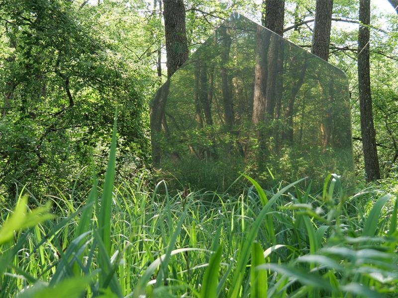 Randonnée : Sentier aux sculptures