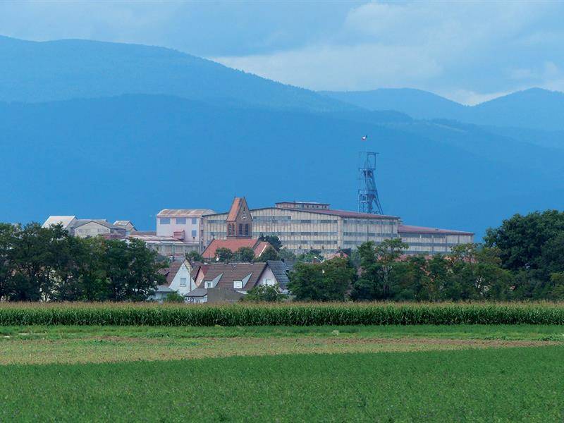 Randonnée : Circuit WITTYRU à Witttenheim et Ruelisheim