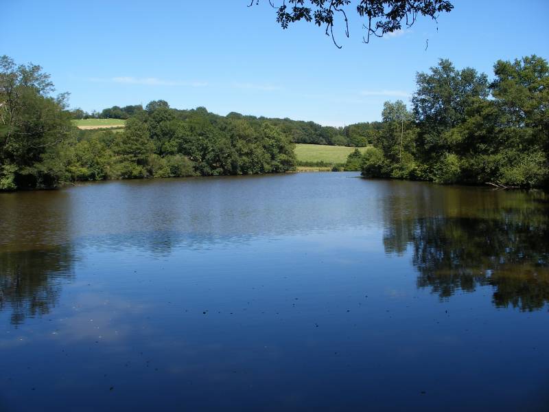 Randonnée : Circuit de l'étang Boiré