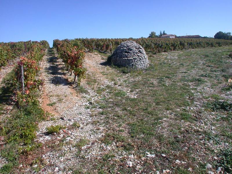 Randonnée : Circuit de Blay