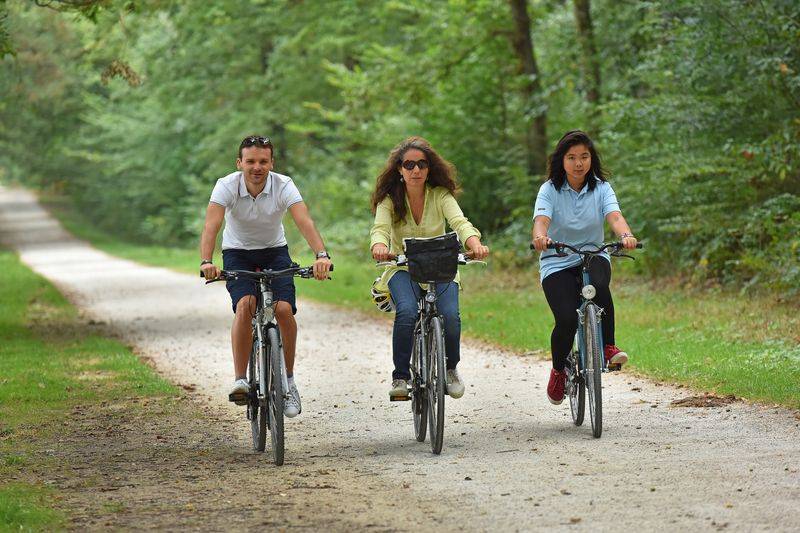 Randonnée : Boucle 17 - La Loire à Vélo par Chécy