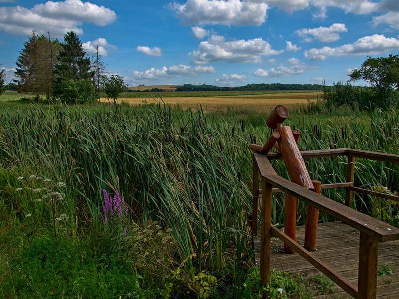 Randonnée : Boucle du bois de Chaumont