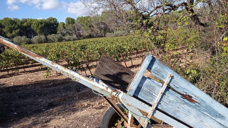 Randonnée : Sentier des vignerons - Boucle des cépages