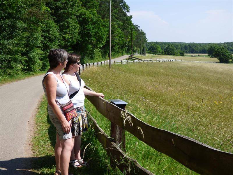 Randonnée : Randonnée au fil des cinq châteaux