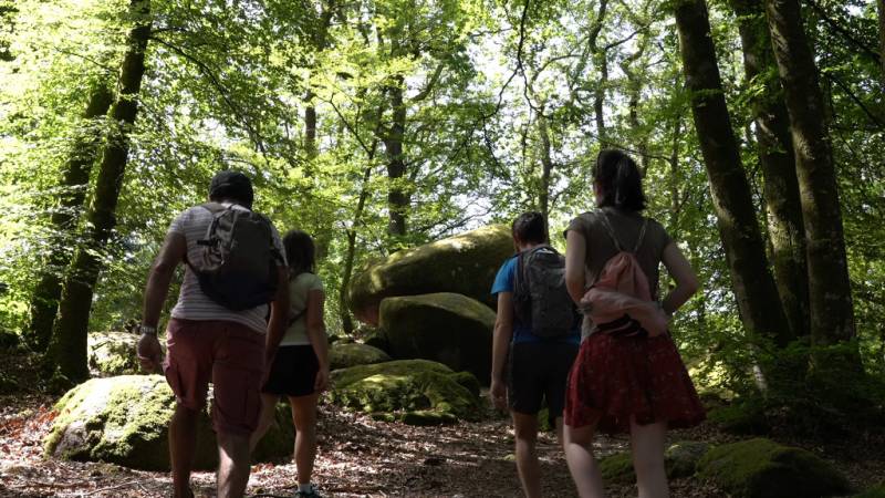 Randonnée : GRP des Monts de Guéret - Boucle du loup