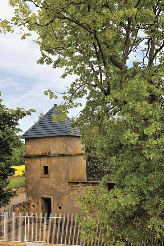 Randonnée : Promenade linéaire des fermes de Gondrange