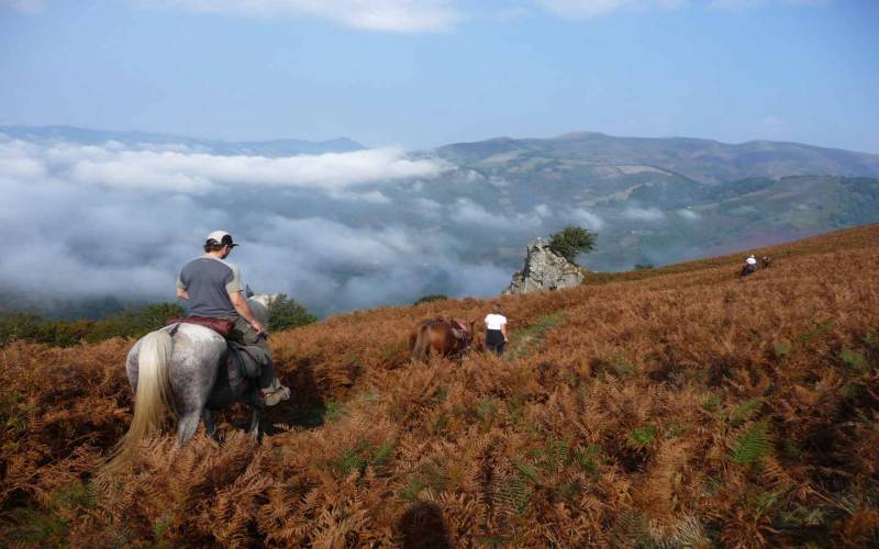 Randonnée : Le sentier des contrebandiers - Du Col des Veaux à Sare - équestre