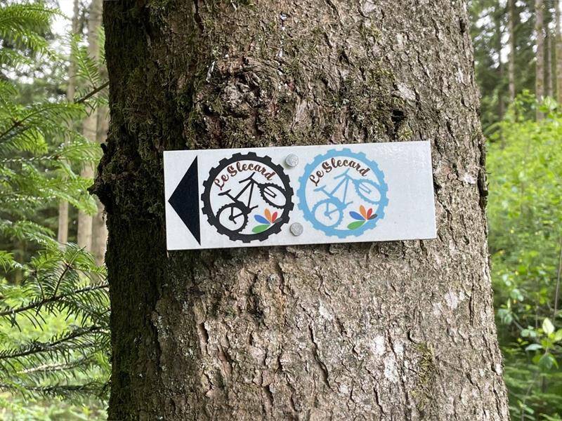 Randonnée : Circuit vtt Saint-Nabord - le slecard bleu