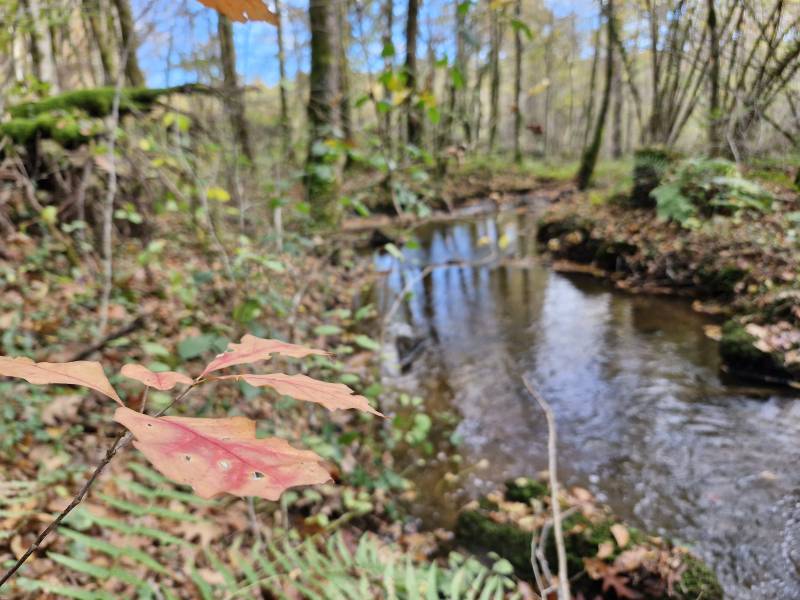 Randonnée : Pont des Farges et de Chanterane