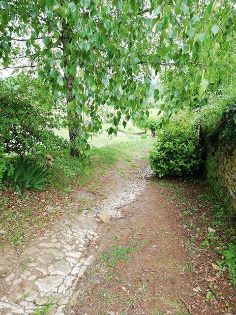 Randonnée : Boucle de la Forêt - Salignac