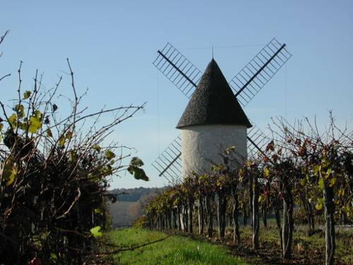 Randonnée : Villeneuve-de-Duras, à l'orée de la Gironde